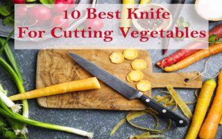 10 Best Knife For Cutting Vegetables