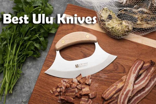 Top 10 The Best Ulu Knife In 2022