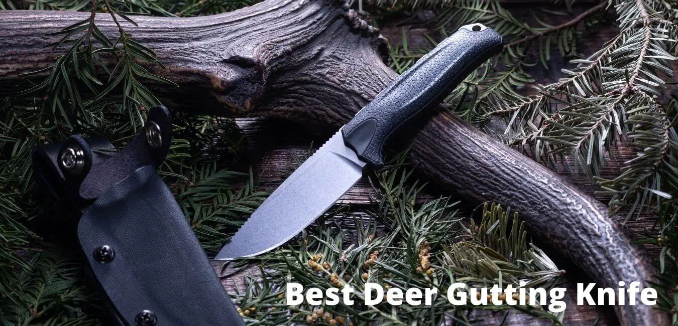 Best Deer Gutting Knives