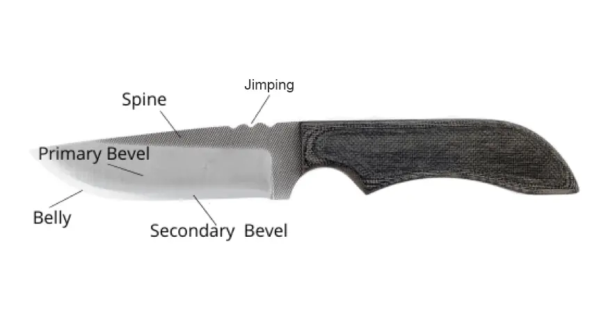  Knives Blade Anatomy