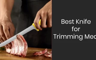 Best Knife for Trimming Meat