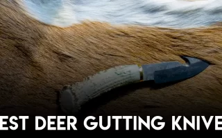 Best Deer Gutting Knives