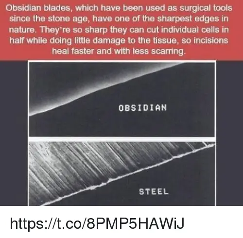 Sharpest Blade- Obsidian Blades