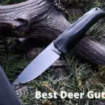 Best Deer Gutting Knife