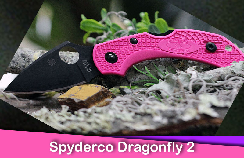 Spyderco Dragonfly 2 Lightweight Folding Knife