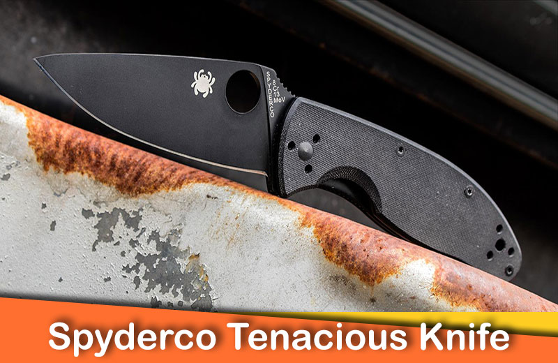 10 Best Spyderco Knives Of 2024 Blade HQ   Spyderco Tenacious Plain Edge Knife 