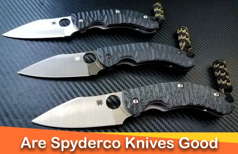 What is so special about Spyderco knives