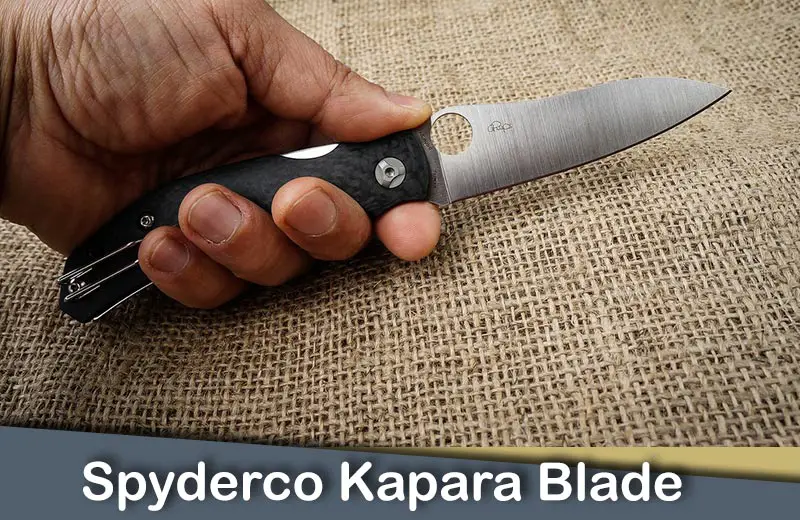 Spyderco Kapara Blade Design