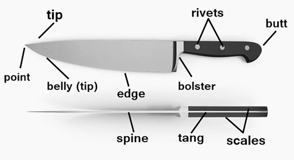 How To Choose The Best Chef's Knife - A Buyer's Guide 4 Structure Of  An Ideal Chef's Knife