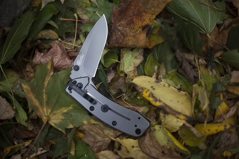 Kershaw Cryo II
